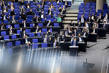 CDU/CSU  AfD  Bundestag