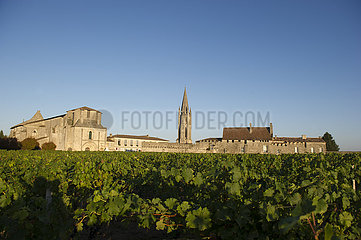 Frankreich  Gironde (33)  Saint-Emilion  Dorf Saint-Emilion und Wineyard im Sommer  Patrimoine Mondial de l'UNESCO