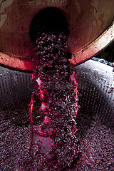 Frankreich  Gironde (33) Saint-Emilion  Weingut  die Wein produziert  Trauben im Tankkeller