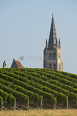 Frankreich  Gironde (33)  Saint-Emilion  Dorf Saint-Emilion und Wineyard im Sommer  Patrimoine Mondial de l'UNESCO