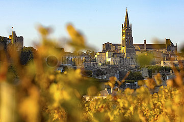 Frankreich  Gironde (33) Saint Emilion Village  Sonnenaufgang auf dem Weinberg