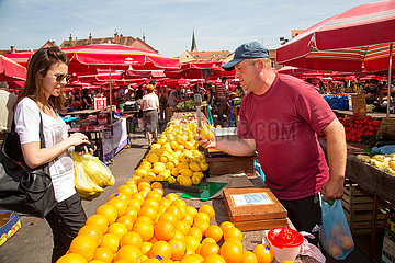 Kroatien  Zagreb - Orangen beim Markt am Dolac  ein Platz im Kaptol-Viertel (Altstadt)