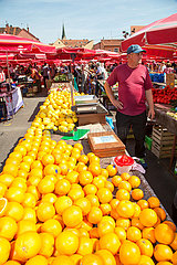 Kroatien  Zagreb - Orangen beim Markt am Dolac  ein Platz im Kaptol-Viertel (Altstadt)