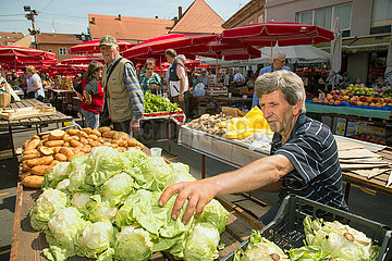 Kroatien  Zagreb - Salatkoepfe beim Markt am Dolac  ein Platz im Kaptol-Viertel (Altstadt)