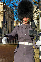 Vereinigtes Kšnigreich  London  Buckingham Palace  Green Park  Royal Guard