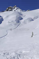 Frankreich  Haute-Savoie (74) Chamonix Valley  Brevent Flegere Skigebiet  Aiguilles Rouges Mountains  Spur von Aff Piste Skifahren