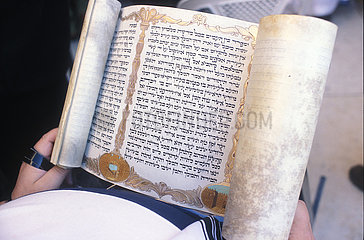 ISRAEL. Jerusalem. Ultra-orthodoxer Jude Las Während des Purim Festivals Das Megillah Esther-Buch an der westlichen Mauer