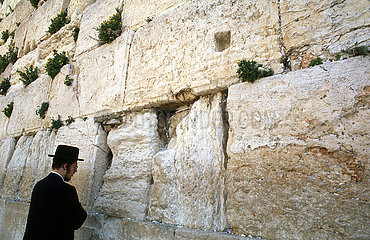Israel. Jerusalem. Eine ultra-orthodoxe  die an der westlichen Zauberstab Betet