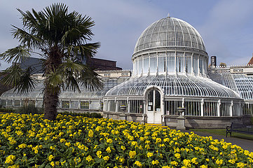 Das Palmhaus in den Botanischen Gärten. Belfast City. Bezirk Antrim. Ulster. Nordirland. Vereinigtes Königreich.