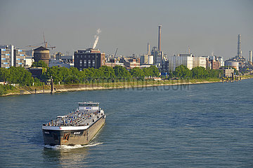 Deutschland  Baden-Württemberg  Mannheim  Barge-Transport von Kohlenwasserstoffen über den Rhein zwischen Mannheim und Ludwigshafen am Rhein