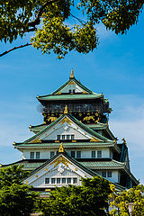 Osaka Castle  Osaka  Japan