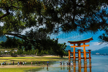 Torii von Itsukushima-Jinja  Miyajima-Insel  Präfektur Hiroshima  Chugoku  Japan