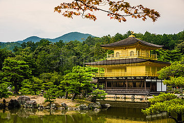 Kinkakuji (Goldener Pavillon) Zen Tample  Kyoto  Japan