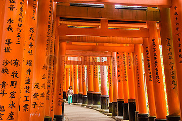 Torii in Fushimi Inari Taisha  Kyoto  Japan