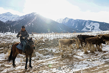 China-Xinjiang-Zhaosu-Winter-Wolke (CN)