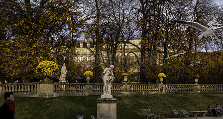 Frankreich. Paris (6. Bezirk) Luxemburg -Gärten im Herbst