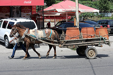 Tiflis  Georgien  Pferd zieht einen Karren mit Tonkruegen
