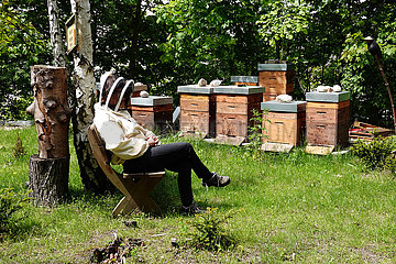Berlin  Deutschland  Imker schaut entspannt sitzend auf seine Bienenstoecke
