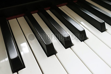 Neuenhagen  Deutschland  Klaviertastatur