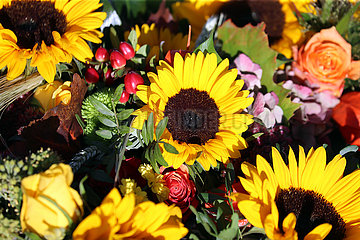 Hannover  Deutschland  Blumenstrauss mit Sonnenblumen und Rosen