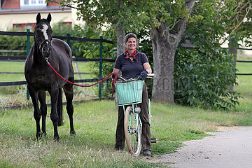 Gestuet Westerberg  Frau auf einem Fahrrad haelt ein Pferd am Fuehrstrick