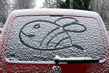Berlin  Deutschland  Biene ist in den Schnee auf der Heckscheibe eines Autos gezeichnet