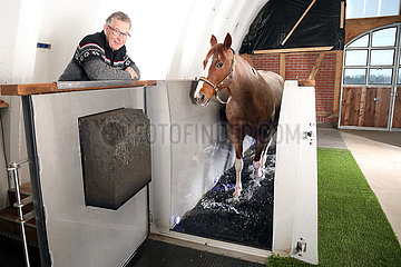 Neuruppin  Pferd bewegt sich unter Aufsicht von Martin Schemuth in einem Aquatrainer