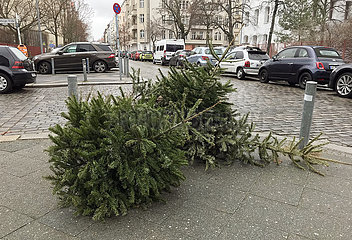 Berlin  Deutschland  ausgediente Weihnachtsbaeume liegen zur Abholung durch die Stadtreinigung am Strassenrand bereit