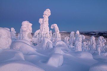 Finnland. Lappland
