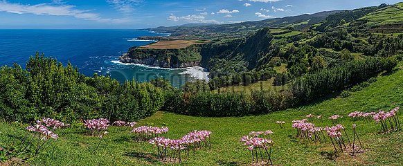 Portugal. Azores-Inseln  Luftbild der Insel Sao Miguel  der touristischste des Archipels