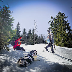 Frankreich  Haute-Savoie (74) mit Ingrid Menet  der Chef der legendären Ski-Marke dynamisch. Jean-Claud Killy  der berühmte französische Skifahrer  gewann mit diesen Skier viele Siege. Trek mit dynamischem Skitouren von Vrando und lol der Hund von Ingrid