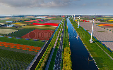 Holland. Burgervlotbrug. The country of tulips