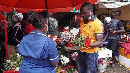 Kenya-Nairobi-Valentinstag-Blume