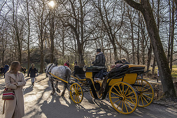 Frühlingstag im Winter  Spaziergänger im Englischen Garten  Pferdekutsche vor Monopteros  München  13. Februar 2022