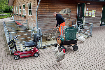 Netherlands  a petting zoo is daycare for handicapped people. These people help with the feeding  cleaning and caring of the animals.