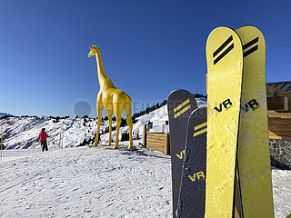 Frankreich  Haute-Savoie (74) Skigebiet von Megéve  Combloux und La Giettaz (Savoie). Bergrestaurant La Girafe. Im Vordergrund  die neue dynamische Ski (Handwerkerproduktion) aus der legendären Ski-Marke  kürzlich von Ingrid Menet neu gestaltet. Die Marke erreichte in den 60er und 70er Jahren seinen Höhepunkt dank der Aufführungen berühmter Skifahrer  darunter Jean-Claude Killy