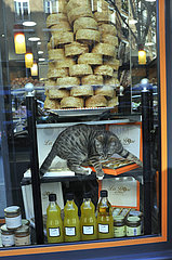 FRANKREICH. Paris (75) ungewöhnliche Szene einer Katze  die im gesamten Schaufenster des orientalischen Lebensmittelgeschäfts spielt