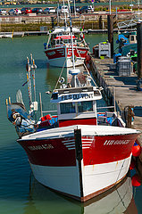 Charente-Maritime (17)  Stadt Royan  der Hafen und seine lokalen Fischerboote