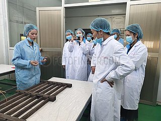 China-Hainan-traditionelles Zucker-Geschäft (CN)