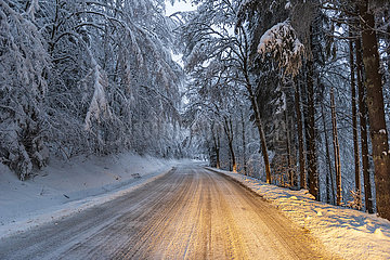FRANCE  Alsace  Bas-Rhin (67)  Road D214 towards the Champ du Feu in winter under the snow