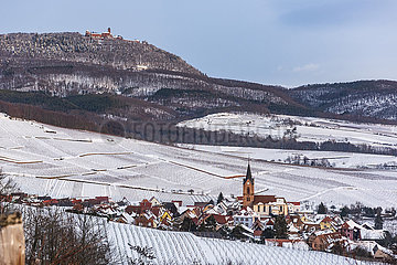FRANCE  Alsace  Haut-Rhin (68)  Rodern  Gloeckelberg grand cru vineyard and Haut-Koenigsbourg castle in winter