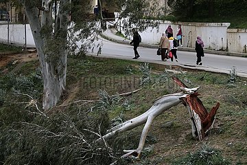 Algerien-Algiers-starke Winde