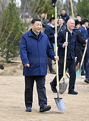 China-Peking-Führer-Baumpflanzung (CN)