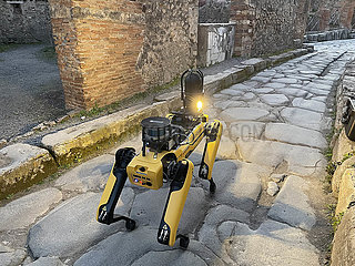 Italien-Pompeji-Archäologischer Park-Roboter