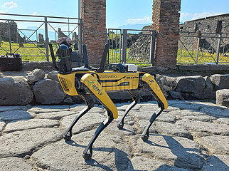 Italien-Pompeji-Archäologischer Park-Roboter