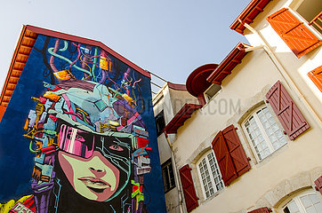 France. Pyrenees Atlantiques (64) Basque country. Bayonne. Street art festival Points de vue. Fresco by DEIH