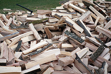 Neu Kaetwin  Deutschland  Brennholz aus zerteilten Baumstaemmen