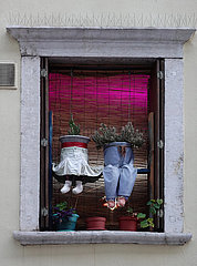 Trient  Italien  Street-Art: Blumentoepfe mit Rock und Hose haengen in einem Fenster
