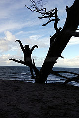 Ustka  Polen  Silhouette: Frau sitzt am Strand auf dem Ast eines Baumes