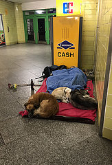 Berlin  Deutschland  Obdachlose schlafen mit ihren Hunden in der Vorhalle des S-Bahnhof Tempelhof auf dem Boden